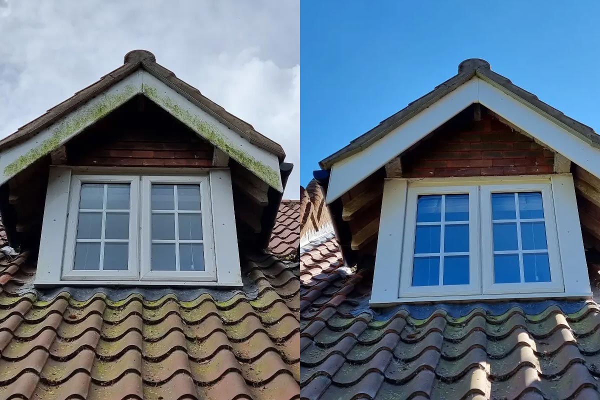 Exterior cleaning - Before and after